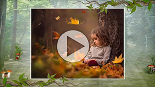 Шаблоны для слайд-шоу Прогулка по лесу