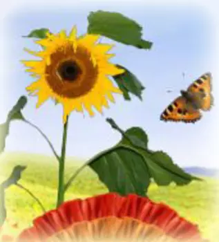 Шаблоны фотоколлажей Природа