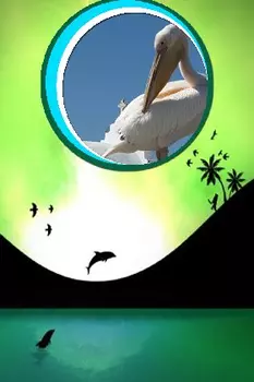 Шаблоны рамок В мире животных