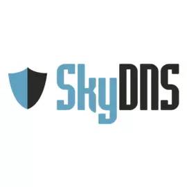 SkyDNS Бизнес