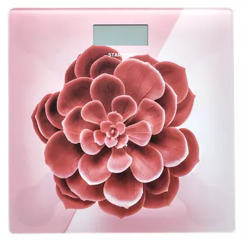 Весы STARWIND SSP6041