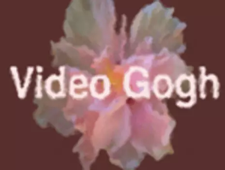 Video Gogh v3 GUI