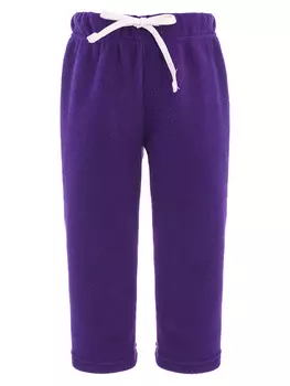 Флисовые штаны «Ежевика»