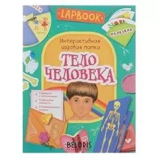 Активити. Lapbook. интерактивная игровая папка «Тело человека». котятова Н. И.