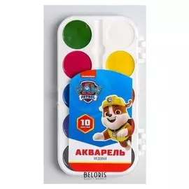 Акварель медовая 10 цветов, Paw Patrol, без кисти