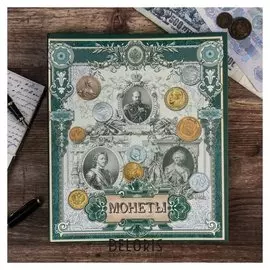 Альбом для монет на кольцах Царский, без листов