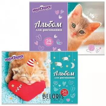 Альбом для рисования А4, 24 листа "Милые кошечки"