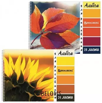 Альбом для рисования А4, 24 листа "Макро"