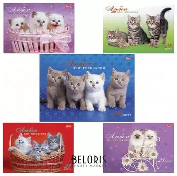 Альбом для рисования, А4, 24 листа "Милые котята"