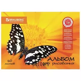 Альбом для рисования, А4, 40 листов "Летняя феерия"