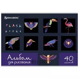 Альбом для рисования Птицы А4, 40 листов