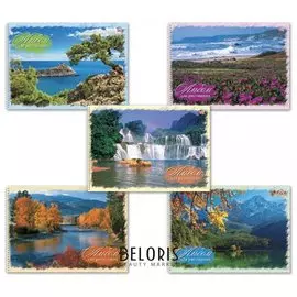 Альбом для рисования, А4, 40 листов "Природа"