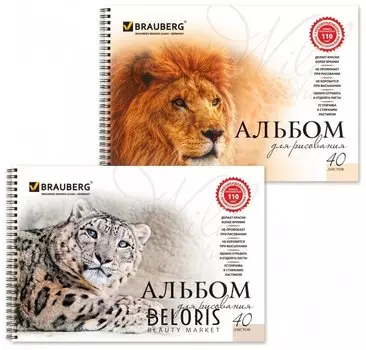 Альбом для рисования, А4 40 листов "Благородные кошки" 2 вида