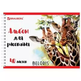 Альбом для рисования, А4, 40 листов "Жирафы"