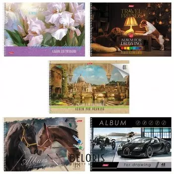 Альбом для рисования, А4, 48 листов "Ассорти"