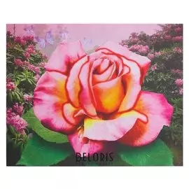 Алмазная картина «Нежная роза»