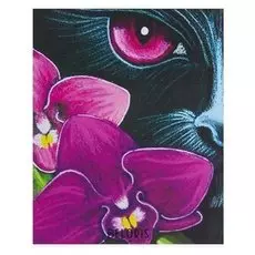 Алмазная картина «Волшебный взгляд»