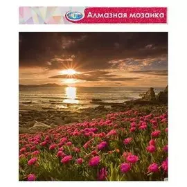 Алмазная мозаика без подрамника, частичное заполнение «Поле цветов» 40×50 см