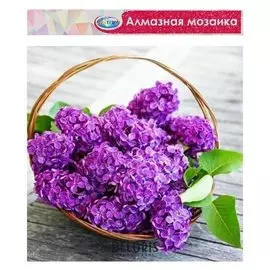Алмазная мозаика без подрамника, частичное заполнение «Сирень» 40×50 см