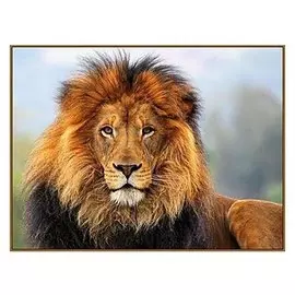 Алмазная мозаика «Царь зверей», 18 цветов