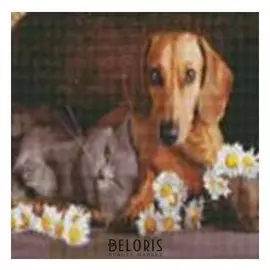 Алмазная мозаика (классическая) с подрамником, с полным заполнением