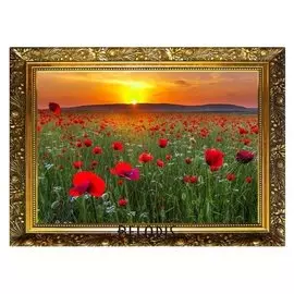 Алмазная мозаика «Маковое поле» 29,5×20,5 см, 25 цветов