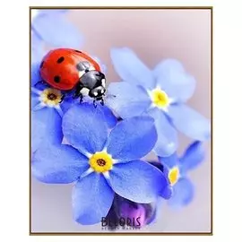 Алмазная мозаика «Незабудки», 29 цветов