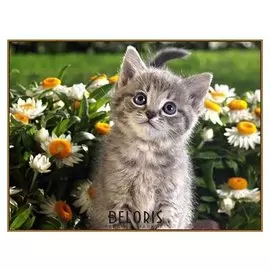 Алмазная мозаика «Послушный котёнок», 32 цвета