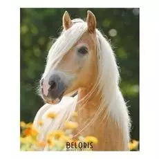 Алмазная мозаика с подрамником