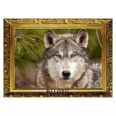 Алмазная мозаика "Суровый взгляд" 29,5×20,5 см, 25 цветов