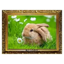 Алмазная мозаика "В поле с ромашкой" 29,5×20,5 см, 25 цветов