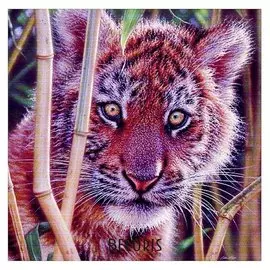 Алмазная мозаика "В засаде" 20 × 20 см, 23 цвета