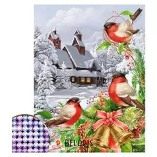 Алмазная вышивка с частичным заполнением «Снегири» 30×40 см, холст, ёмкость