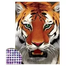 Алмазная вышивка с полным заполнением «Тигр», 15 х 21 см. набор для творчества