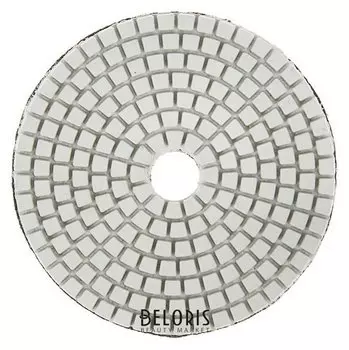 Алмазный гибкий шлифовальный круг Tundra, для мокрой шлифовки, 100 мм, № 3000