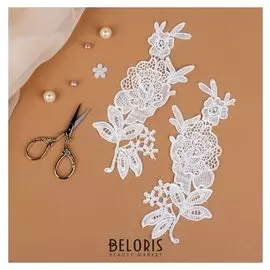 Аппликации пришивные «Лейсы», 19,2 × 8 см, пара, цвет белый