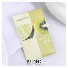 Аромасаше "Киви и лайм" вес 10 г