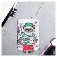 Ароматизатор бумажный «Казань»