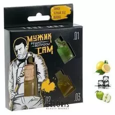 Ароматизатор со сменным блоком: лимон, черный лёд, яблоко