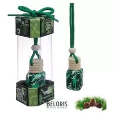 Ароматизатор в авто «Хвоя», 5 × 2.5