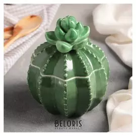 Банка для сыпучих продуктов «Кактус с цветком», 500 мл