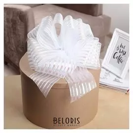 Бант-шар №10 "Полоски", цвет белый