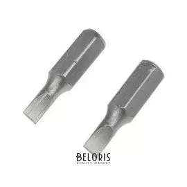 Биты Tundra, намагниченные, сталь Crv, SL4 х 25 мм, 2 шт.