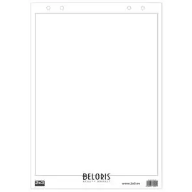 Блокнот для флипчарта "2х3" ("дважды три", польша), 30 листов, чистый, 58х83 см, B02