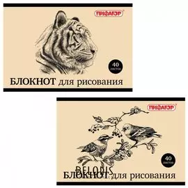 Блокнот для рисования А4, 40 листов "Дикий мир"