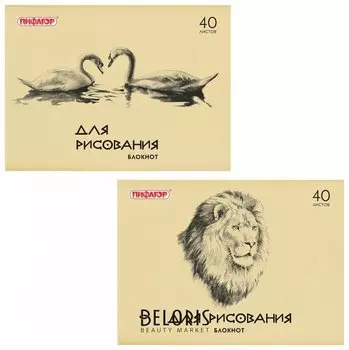 Блокнот для рисования, А4, 40 листов, обложка офсет, горизонтальный, Лебеди/лев