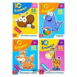 Блокнот IQ набор для дошкольников №2 4 штуки