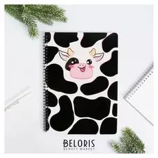 Блокнот «Красочного настроения», 48л