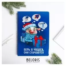Блокнот «Верь в чудеса», 48л