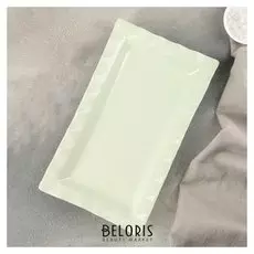 Блюдо прямоугольное "Волна" 27,5х16х2,7 см, цвет мятный